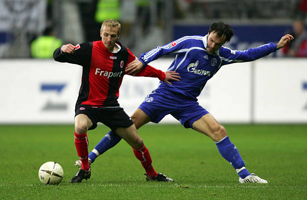 见到类似的 见到类似的